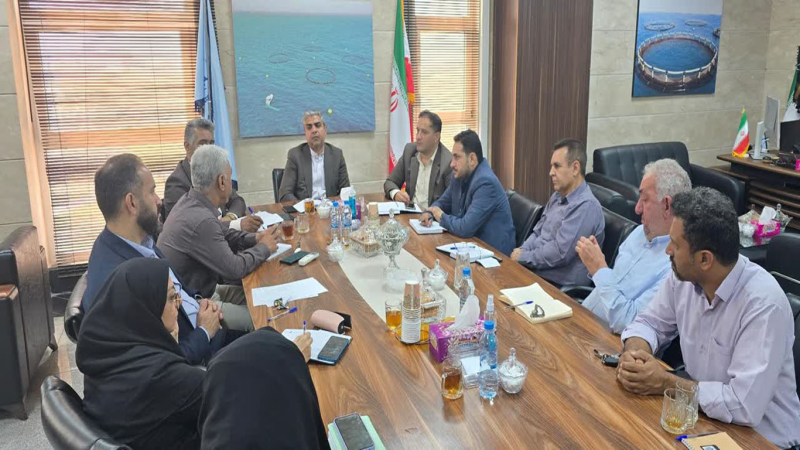 برگزاری نخ