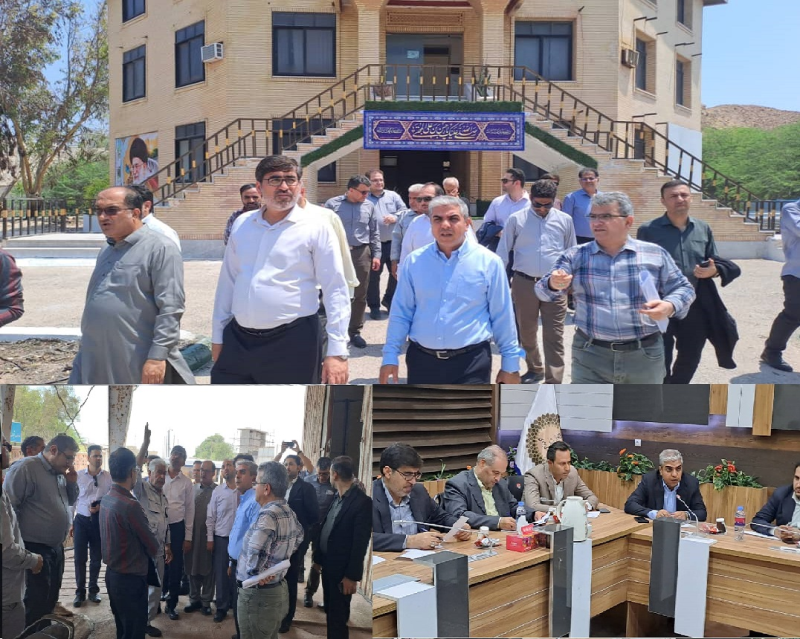 بازدید معا