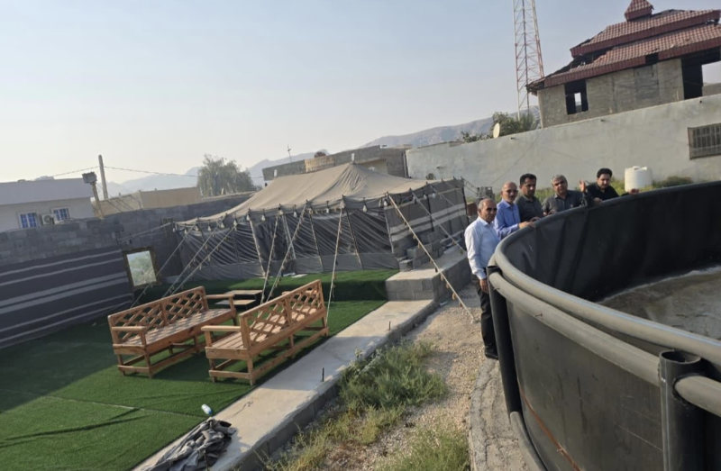 بازدید مدی