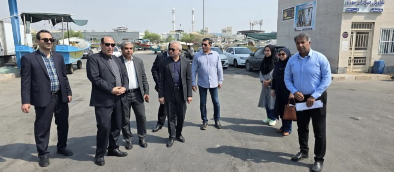 بازدید مدی