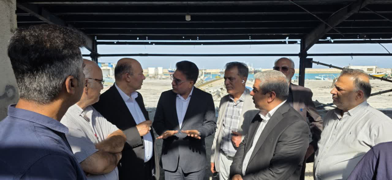 بازدید معا